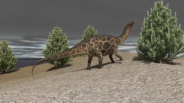 산책 dicraeosaurus — 스톡 사진