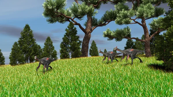 Gigantoraptor dinosaurs flock — Stock Photo, Image