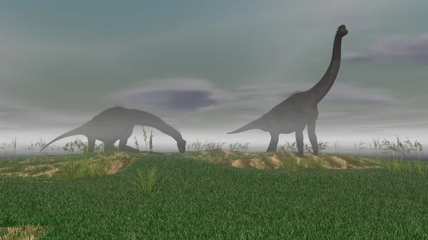 Brachiosaurus dinosaurier — Stockfoto