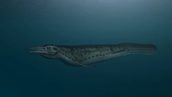 Mosasaur 수영 — 스톡 사진