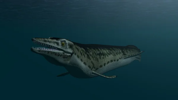Mosasaur 수영 — 스톡 사진