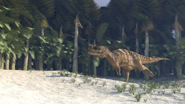 Ceratosaurus 공룡 — 스톡 사진