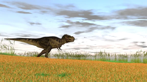 T-t-rext-rex de Tyrannosaurus — Foto de Stock