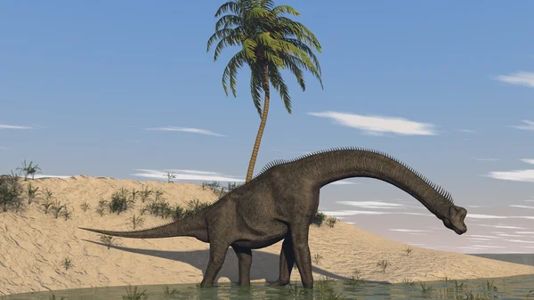 Brachiosaurus динозаврів — стокове фото