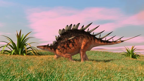 Dinossauro kentrosaurus antigo — Fotografia de Stock