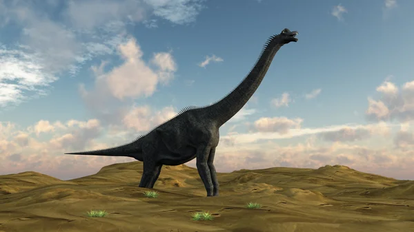 Brachiosaurus-Dinosaurier — Stockfoto