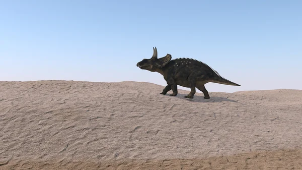 Diceratops dinosaure — Photo