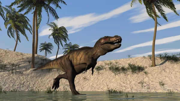 Förhistoriska tyrannosaurus t-rex — Stockfoto