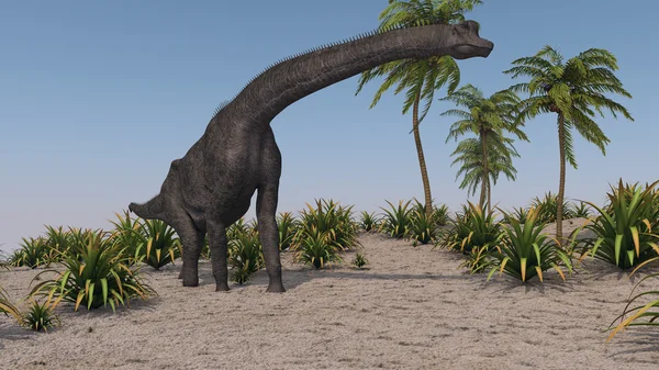 Brachiosaurus 공룡 — 스톡 사진