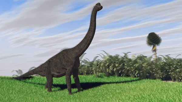Brachiosaurus 공룡 — 스톡 사진