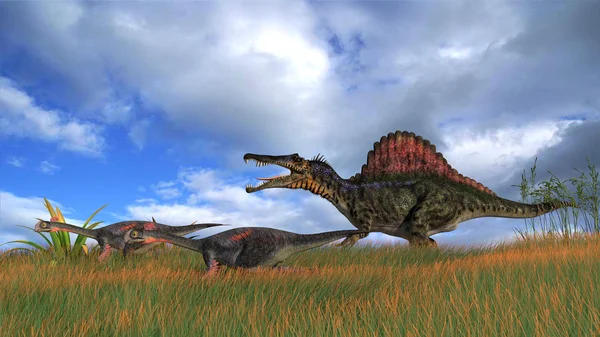 ไดโนเสาร์ Spinosaurus — ภาพถ่ายสต็อก