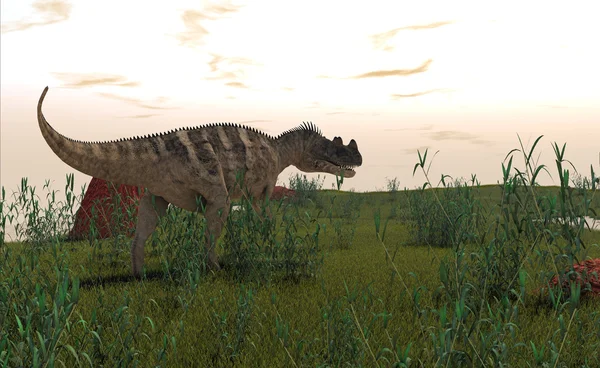 Ceratosaurus dinozor — Stok fotoğraf