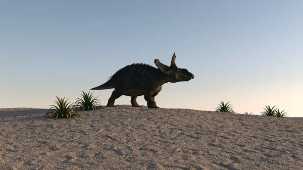 Diceratops-dinosaurus — Stockfoto