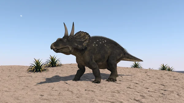 Dinossauro Diceratops — Fotografia de Stock
