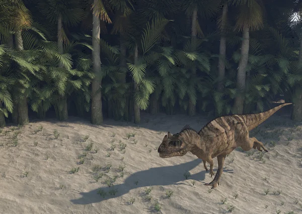 ไดโนเสาร์ Ceratosaurus — ภาพถ่ายสต็อก