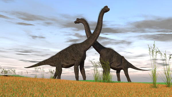 Brachiosaurus dinosaurs