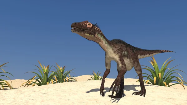 Utahraptor Dinosaurio —  Fotos de Stock