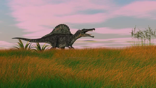 A Spinosaurus dinoszaurusz — Stock Fotó