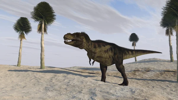 Tiranossauro t-rex — Fotografia de Stock