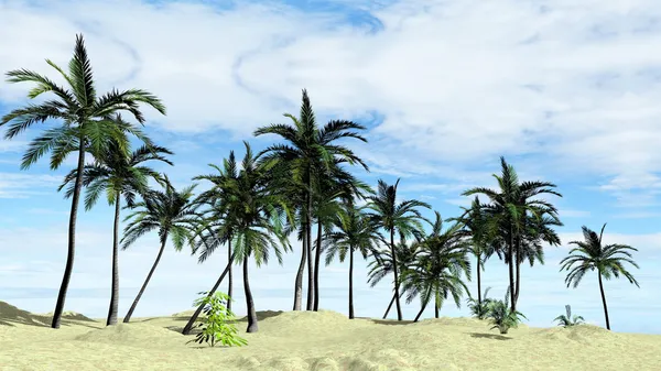 Palmiers sur la plage — Photo