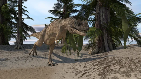 Ceratosaurus dinozor — Stok fotoğraf