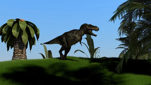 ティラノサウルス t-レックス — ストック写真