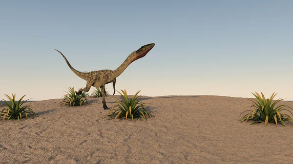 Dinozor coelophysis — Stok fotoğraf
