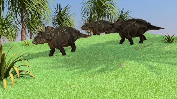 Diceratops dinosaurier — Stockfoto