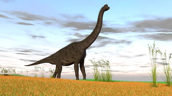 Brachiosaurus dinozor — Stok fotoğraf