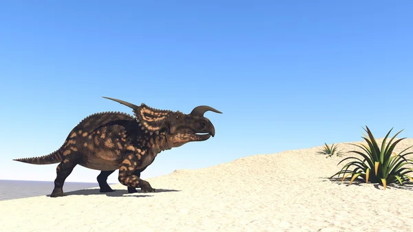 Diceratops dinosaurus — Stok Foto