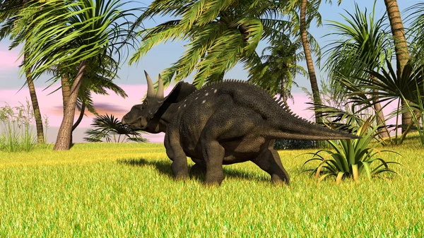 Diceratops 공룡 — 스톡 사진