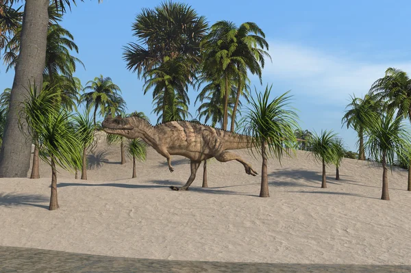 Ceratosaurus δεινοσαύρων — Φωτογραφία Αρχείου