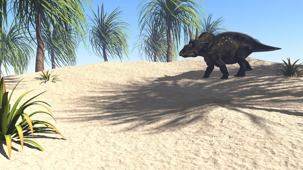 Diceratops 恐龙 — 图库照片