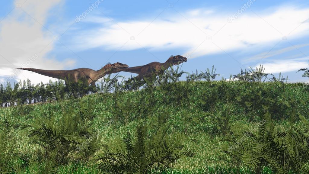 Utahraptor dinosaurs