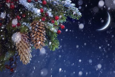 Noel ağacı mavi gökyüzü xmas üzerinde kar ile kaplı bac