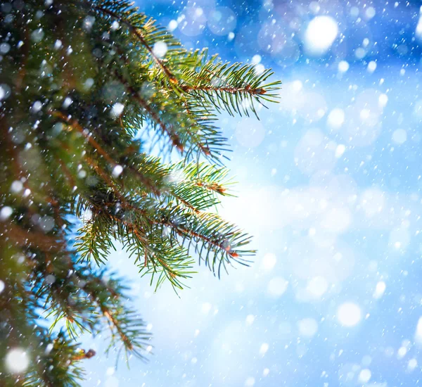 Arte ramo dell'albero di Natale e neve caduta — Foto Stock