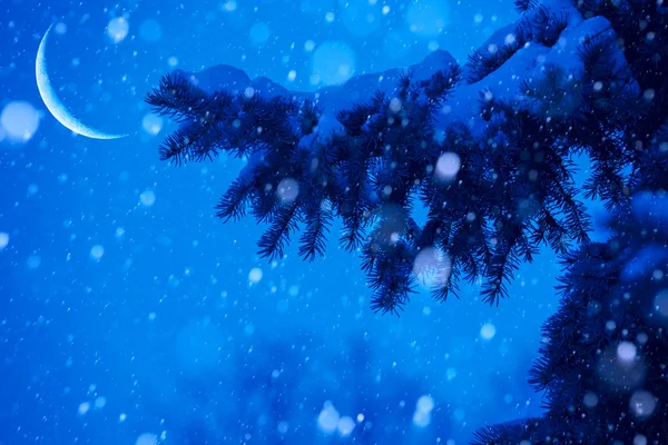 Konst snön julgran magiska ljus bakgrund — Stockfoto