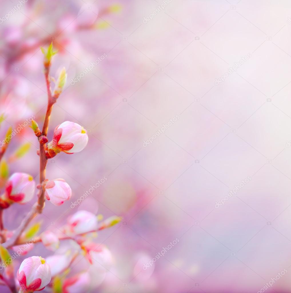 Art Beautiful spring blossoming tree on sky background