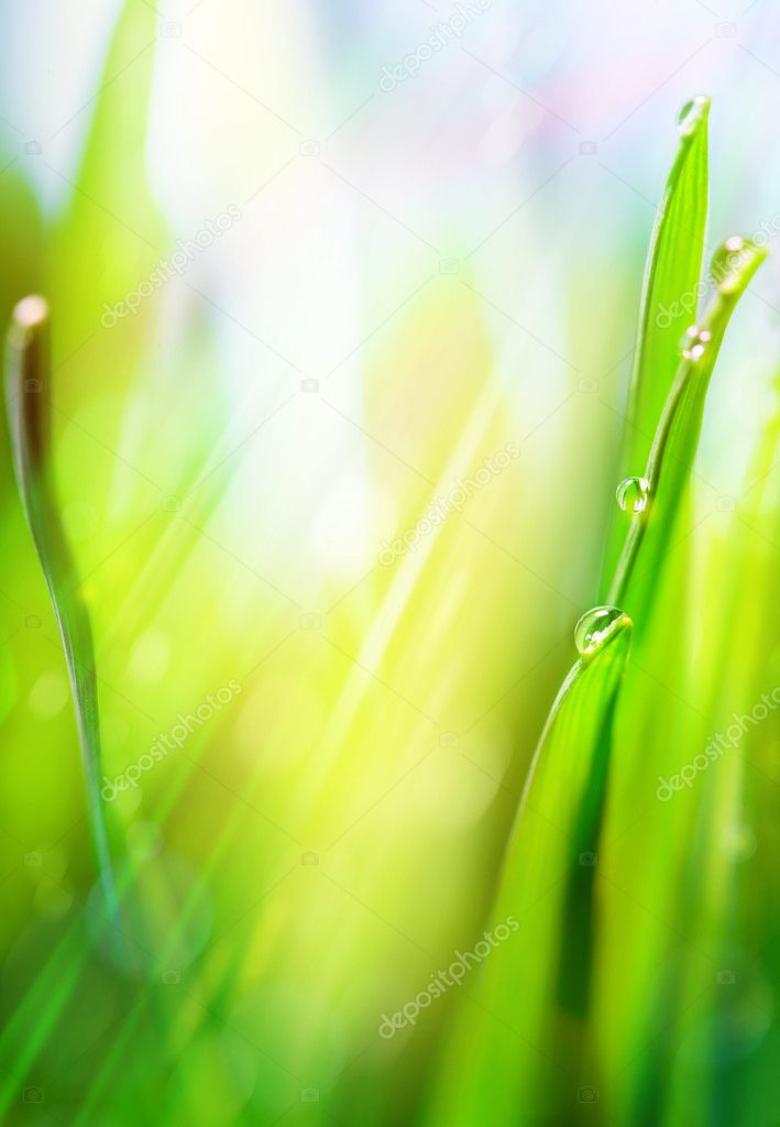 Art green spring abstract light background