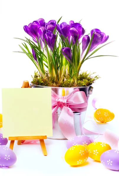 Easter card with eggs and spring flowers — Stock Photo, Image