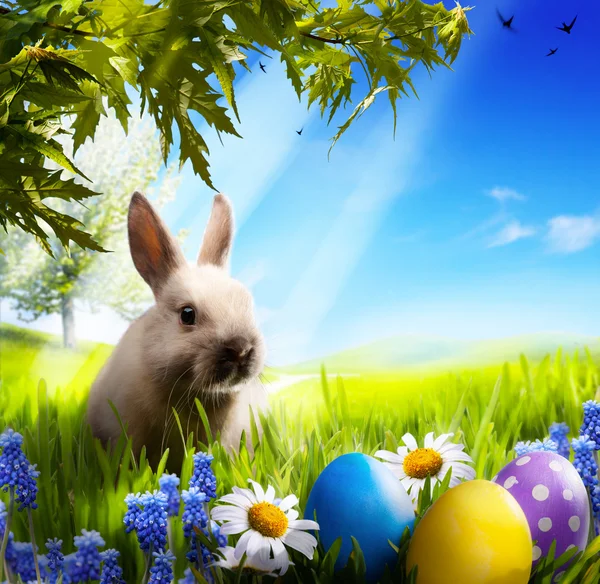 Art Little Easter bunny and Easter eggs on green grass — Stock Photo, Image