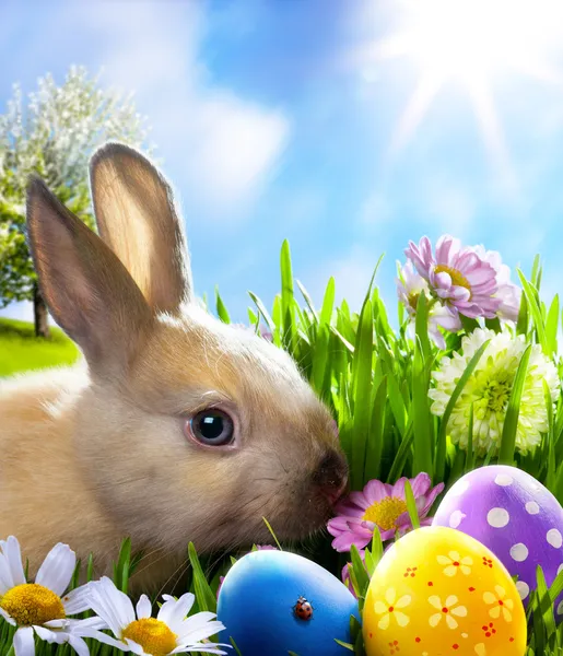 Art Little Easter bunny and Easter eggs on green grass — Stock Photo, Image