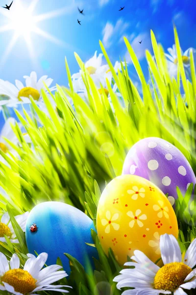 Art easter eggs in flowers — Stock Photo, Image