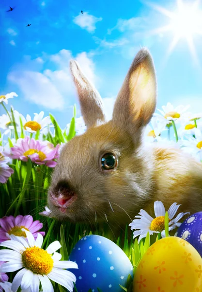Kunst Pasen baby konijn en paaseieren — Stockfoto