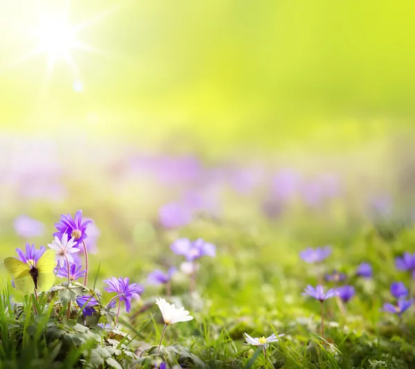 Абстрактный весенний зеленый фон — стоковое фото