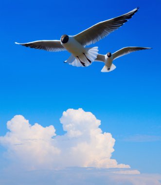 Sanat romantik deniz sahili. Şarap kadehi ve san'ın şampanya şişesinde