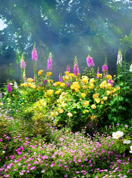 Fiori d'arte al mattino in un parco all'inglese — Foto Stock