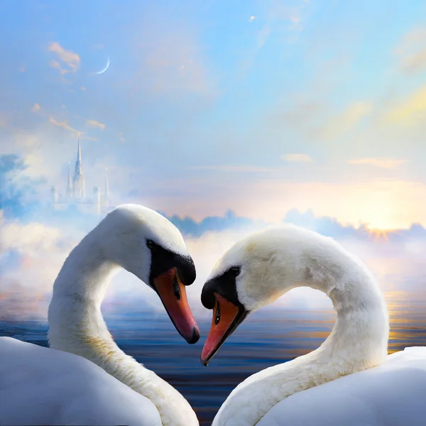 Art pair of swans in love floating on the water at sunrise of th — Stock Photo, Image