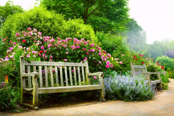 Fiori d'arte al mattino in un parco all'inglese — Foto Stock