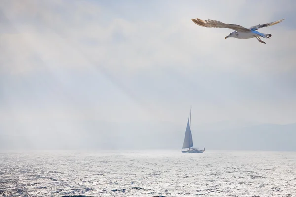 Sanat romantik deniz güzel manzara — Stok fotoğraf